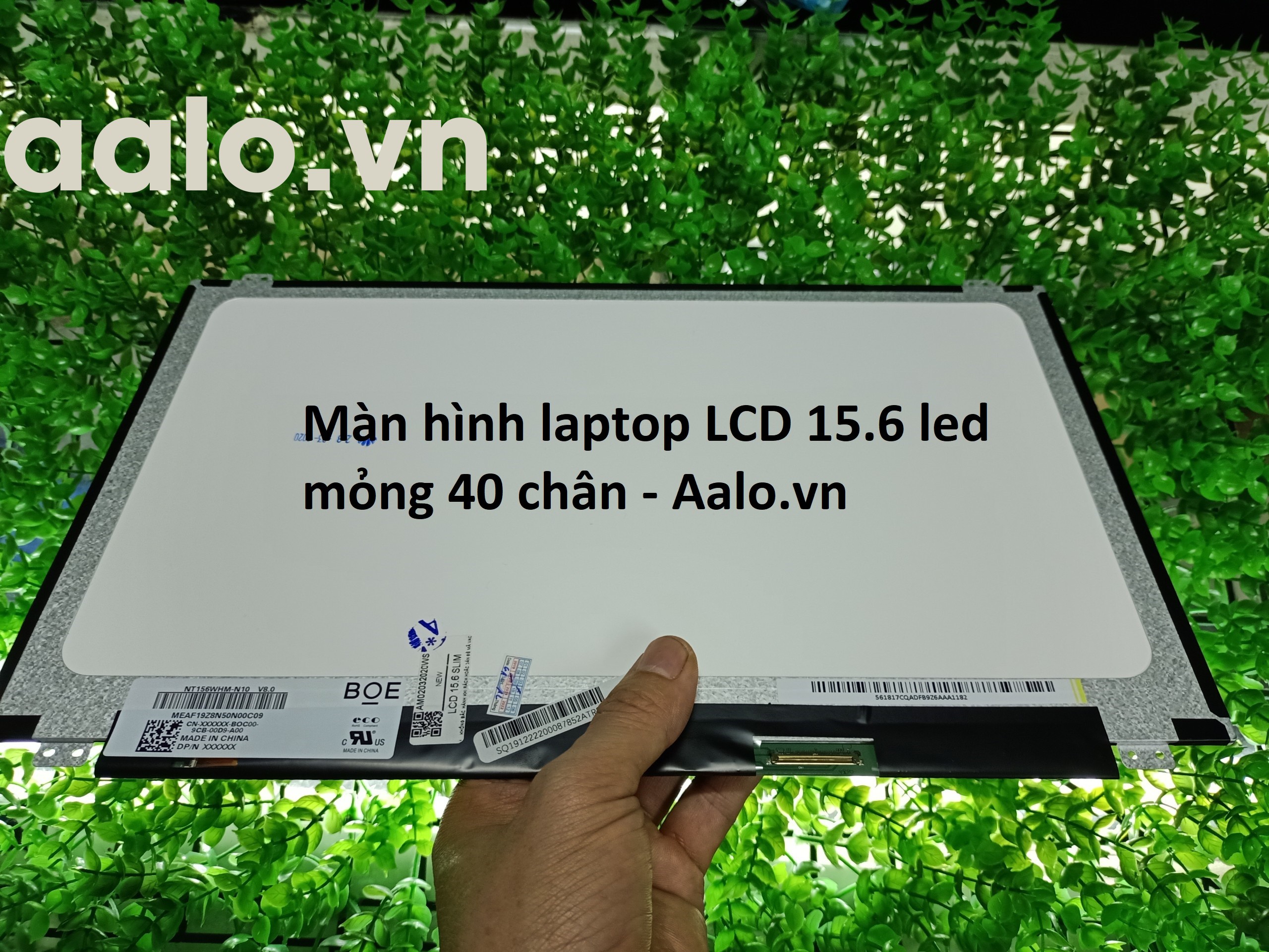 Màn hình Laptop Toshiba Satellite L50-A Series